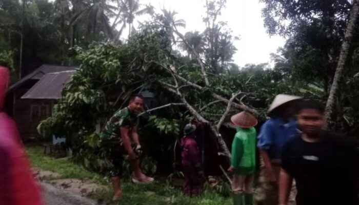 Angin Puting Beliung Rusak Dua Rumah di Agam, Salah Satunya Ditimpa Pohon