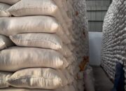 ilustrasi stok beras. (dok. istimewa)