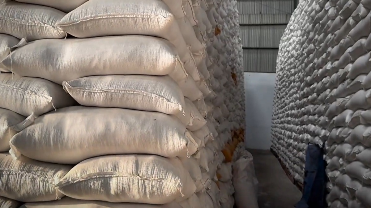 ilustrasi stok beras. (dok. istimewa)