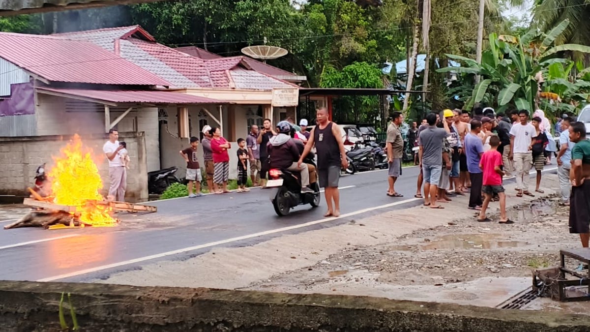 Aksi para warga membakar hewan di tengah jalan provinsi yang baru saja dibangun Gubernur Sumut Bobby Nasution, dipicu kekecewaan soal pemasukan hewan dan wabah, Senin (6/4/2026). (Putra/Radarsumbar)