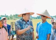 BUMDes jadi Andalan, Pariaman Genjot Produksi Pangan dan Teknologi Pertanian