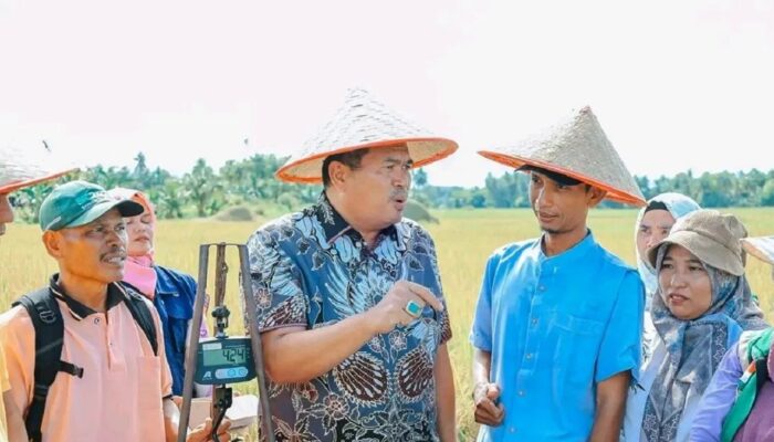 BUMDes jadi Andalan, Pariaman Genjot Produksi Pangan dan Teknologi Pertanian