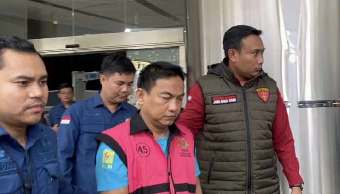 Baru Dilantik, Ketua Ombudsman RI jadi Tersangka Kasus Nikel