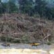 Deforestasi yang terjadi di Borneo. (dok. National Geographic)