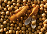 Importir Sepakat Jaga Harga Kedelai Rp11.500 per Kilogram untuk Pengrajin Tahu Tempe