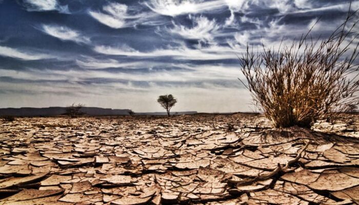 El Nino Berpotensi jadi Super El Nino, Dunia Terancam Kekeringan dan Krisis Pangan