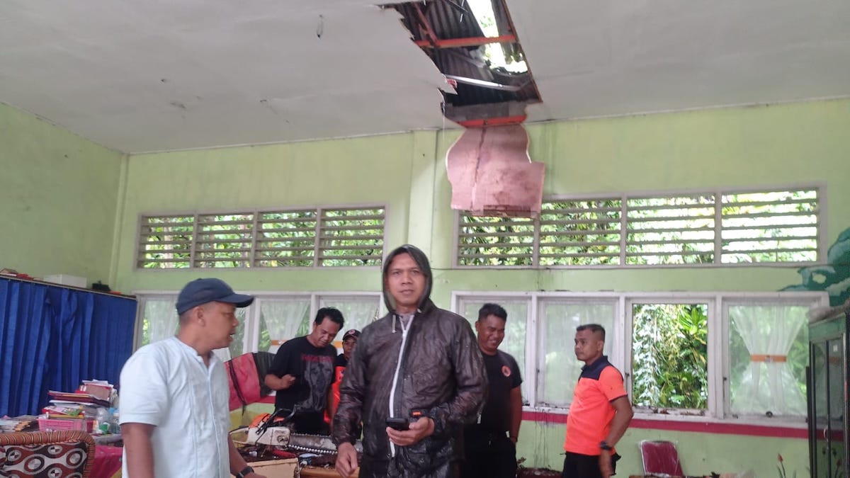 BPBD Padang melakukan evakuasi pohon tumbang. (dok. istimewa)