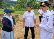 Bupati Pessel Hendra Joni mengecek pembangunan jembatan Koto Pulai. (dok. istimewa)
