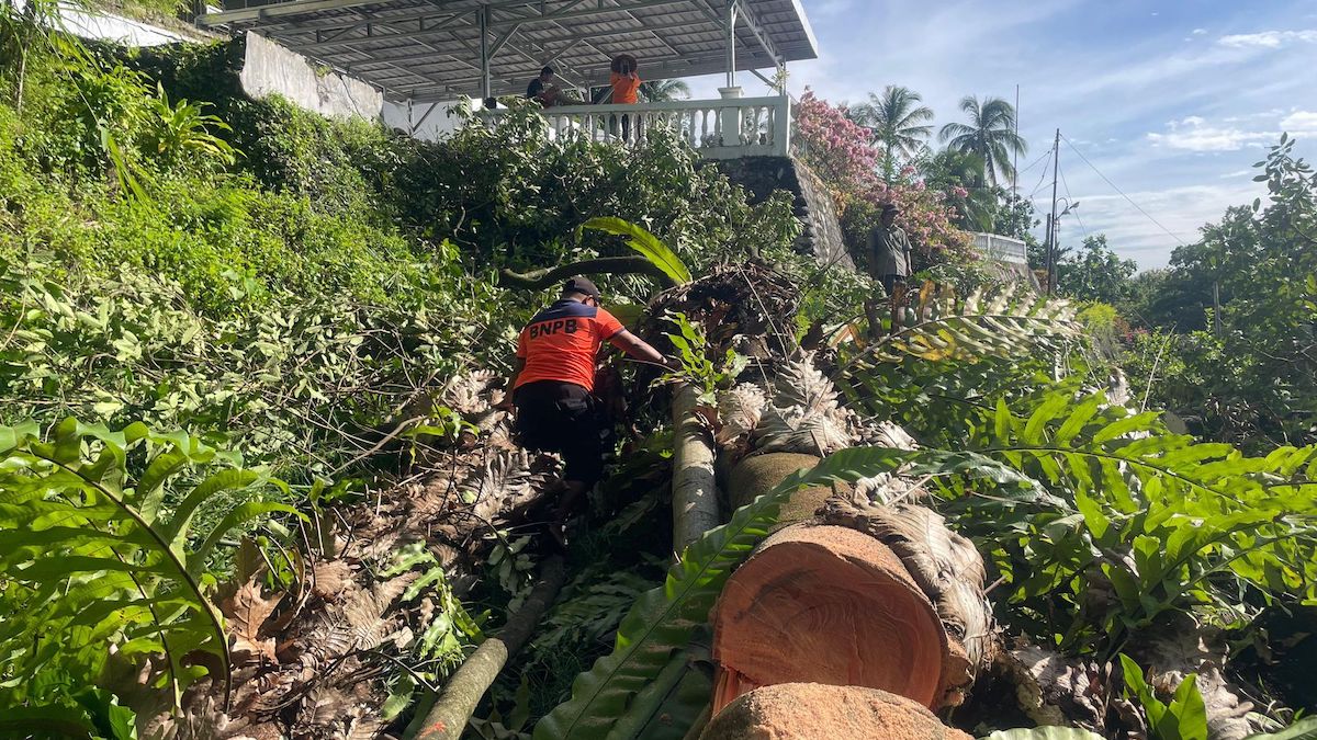 Evakuasi material pohon tumbang di Mata Air. (dok. BPBD Padang)