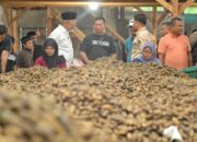 Gubernur Mahyeldi Sebut Investasi Pengolahan Pinang Gerakkan Ekonomi Masyarakat