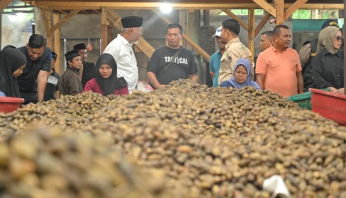 Gubernur Mahyeldi Sebut Investasi Pengolahan Pinang Gerakkan Ekonomi Masyarakat