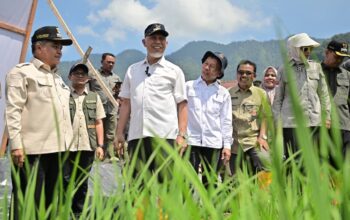 Gubernur Mahyeldi dan rombongan saat persiapan jelang tanam serempak di Agam. (dok. istimewa)