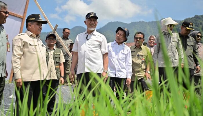Kemendagri Apresiasi Progres Rehabilitasi Lahan Terdampak Bencana di Sumbar
