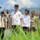 Kemendagri Apresiasi Progres Rehabilitasi Lahan Terdampak Bencana di Sumbar