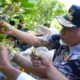 Gubernur Mahyeldi kunjungi sentra cengkeh di Kabupaten Solok. (dok. adpsb)