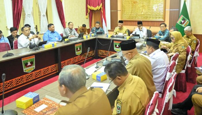 Gubernur Mahyeldi Paparkan Progres pengembangan Ekonomi dan Keuangan Syariah di Sumbar Dalam Rapat KNEKS