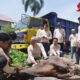 PLN UID Sumbar potong hewan kurban. (dok. istimewa)