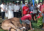 Polresta Padang Potong 25 Sapi dan 5 Kambing pada Idul Adha 1447 H