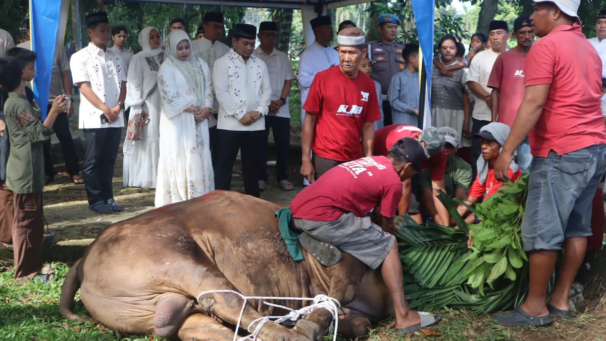 Penyembelihan hewan kurban Polresta Padang. (dok. istimewa)