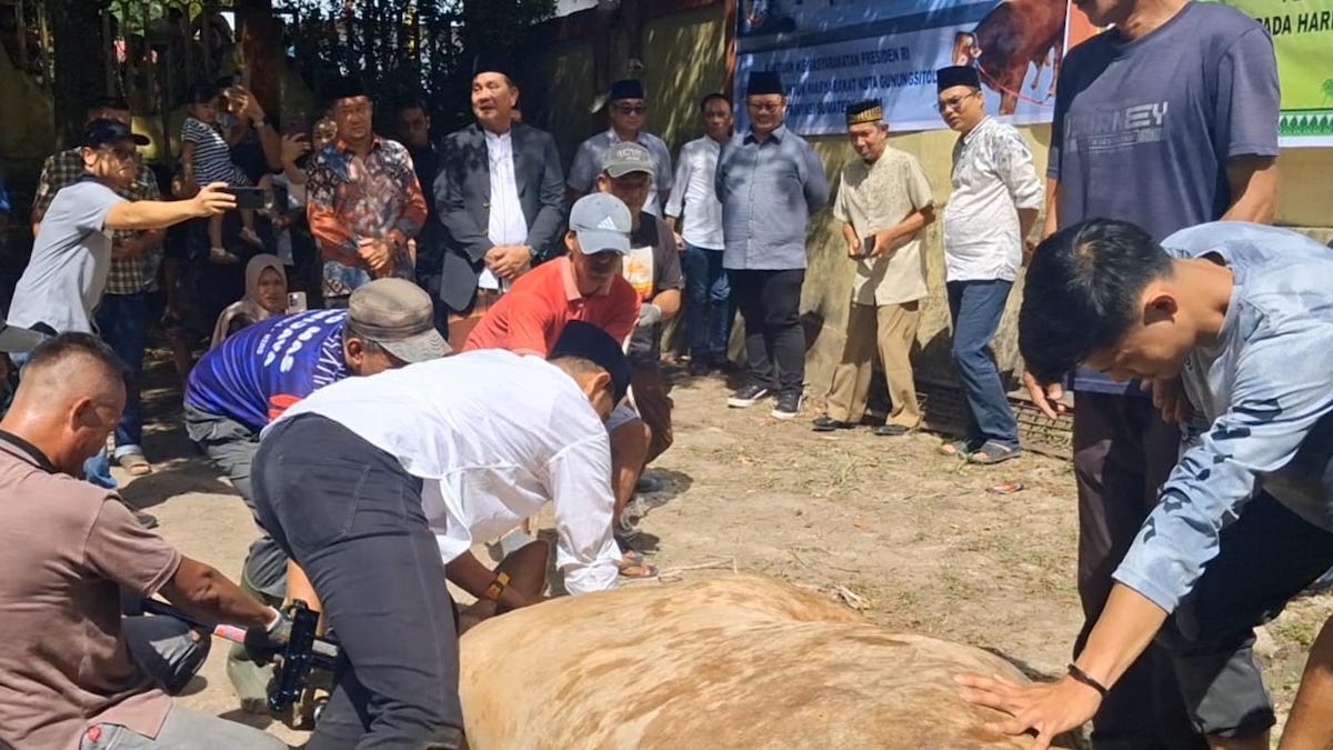 Wali Kota Gunungsitoli, Sowa'a Laoli didampingi Camat Berkat Sepakat Hulu dan para OPD serta para panitia kurban saat proses penyembelihan hewan kurban iduladha 2026 di halaman masjid raya Al-Furqon, Rabu (25/5/2026). (radarsumbar.com/putra)
