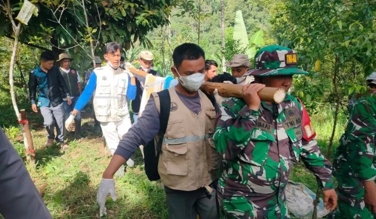 Petugas gabungan dari BKSDA Sumbar, Koramil Palupuh, Polsek Palupuh dan Pagari membawa harimau yang terjerat di Batang Palupuh, Nagari Koto Rantang, Kecamatan Palupuh, Kabupaten Agam, Jumat (22/5/2026). (ANTARA/Yusrizal)