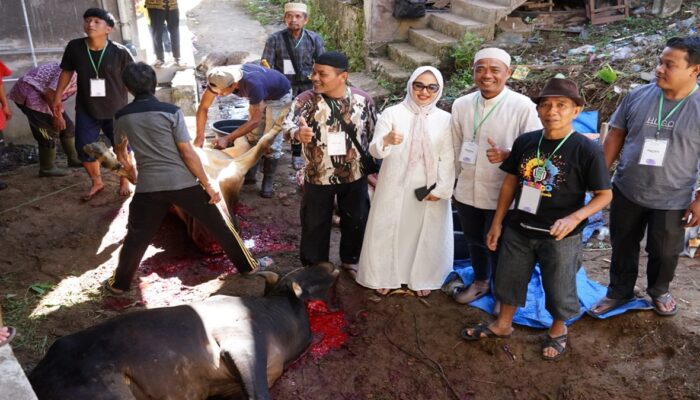 Wakil Ketua DPRD Padang Panjang Saksikan Penyembelihan Sapi Kurban Bantuan Andre Rosiade