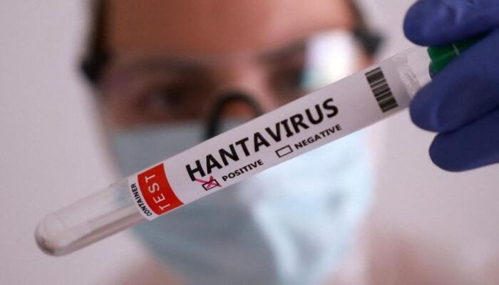Apa Itu Hantavirus? Kenali Gejala, Penyebab, dan Cara Penularannya