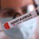Apa Itu Hantavirus? Kenali Gejala, Penyebab, dan Cara Penularannya