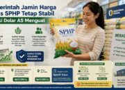 Ilustrasi beras SPHP. (dibuat dengan ChatGPT)