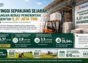 Tertinggi Sepanjang Sejarah, Cadangan Beras Pemerintah Kini Sentuh 5,37 juta Ton
