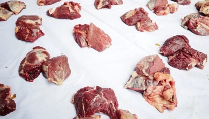 Pembagian Daging Kurban ASN Pemko Padang Pakai Sistem Barcode