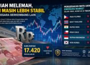 Rupiah Melemah, Tapi Masih Lebih Stabil dari Negara Berkembang Lain