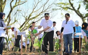 Pulihkan Ekosistem Pascabencana, Pemprov Sumbar Tanam 1.000 Pohon di Hutan Kota Malvinas
