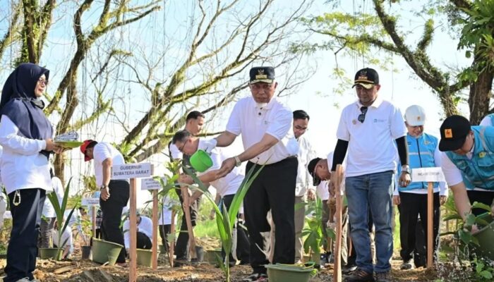 Pulihkan Ekosistem Pascabencana, Pemprov Sumbar Tanam 1.000 Pohon di Hutan Kota Malvinas