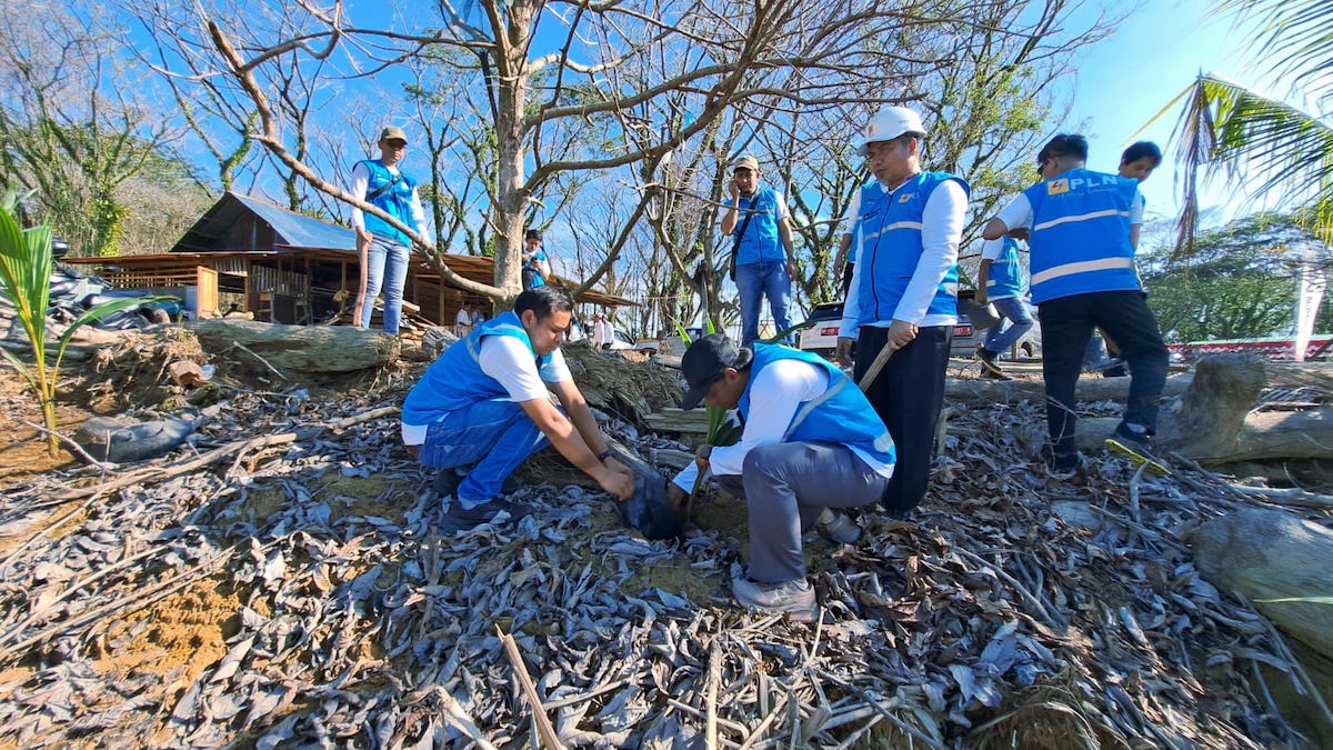 Aksi penanaman pohon oleh PLN di kawasan Malvinas. (dok. istimewa)