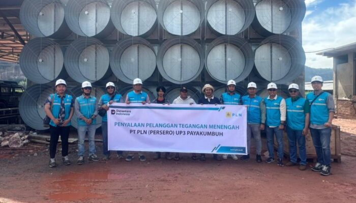 PLN UP3 Payakumbuh Perkuat Usaha Peternakan Ayam dengan Pasokan Listrik 240 kVA