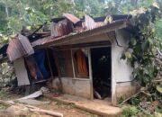 Pohon Tumbang Timpa Rumah Warga di Bukit Gado-Gado, Kerugian Ditaksir Rp65 Juta