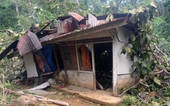 Pohon Tumbang Timpa Rumah Warga di Bukit Gado-Gado, Kerugian Ditaksir Rp65 Juta