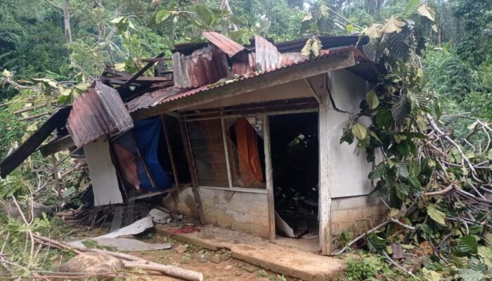 Pohon Tumbang Timpa Rumah Warga di Bukit Gado-Gado, Kerugian Ditaksir Rp65 Juta