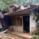Pohon Tumbang Timpa Rumah Warga di Bukit Gado-Gado, Kerugian Ditaksir Rp65 Juta