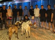 Satreskrim Polresta Padang amankan dua pelaku pencurian ternak. (dok. istimewa)