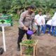Reklamasi Bekas Tambang, Polres Pasbar Tanam Pohon di Aliran Sungai Batang Toman