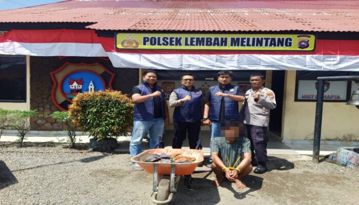 Curi Sawit PT BPP, Pelaku Curat di Pasaman Barat Ditangkap
