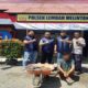 Curi Sawit PT BPP, Pelaku Curat di Pasaman Barat Ditangkap