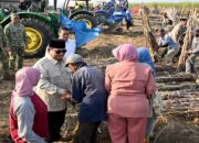 Prabowo Targetkan Indonesia Swasembada Gula dalam Dua Tahun