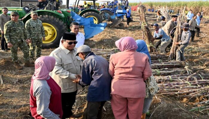 Prabowo Targetkan Indonesia Swasembada Gula dalam Dua Tahun