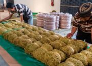 Kementan Dorong Regulasi Tembakau Diselaraskan, Petani dan Industri Harus Sama-Sama Tumbuh