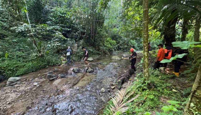 Pencarian Bocah Diduga Hanyut di Pasaman Masuki Hari Keempat, Korban Belum Ditemukan
