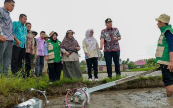 Tanam perdana padi pakai teknologi di Padang Pariaman. (dok. istimewa)