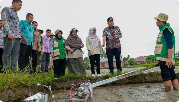 Pemko Pariaman Gelar Tanam Perdana Padi Teknologi di Kelompok Tani Kito Samolah
